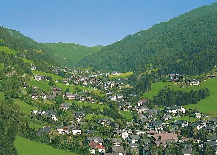 肖弗曼公寓 公寓 *