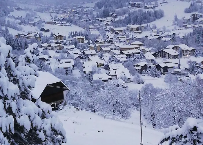 肖弗曼公寓 公寓